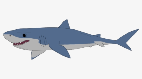 Clipart Of Great White Shark, HD Png Download, Transparent PNG