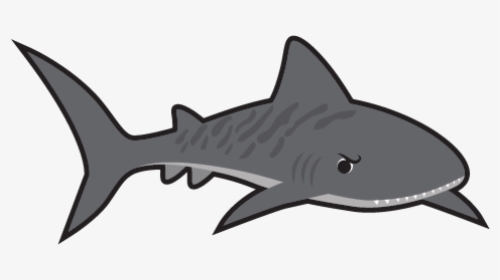 Norwood Swim School Tiger Shark, HD Png Download, Transparent PNG