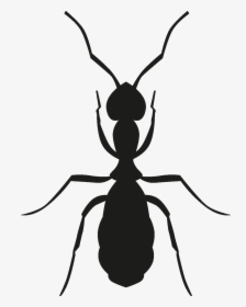 Insects Set [silhouette] Png, Transparent Png, Transparent PNG