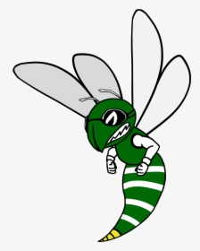Support Our Teams - Net-winged Insects, HD Png Download, Transparent PNG