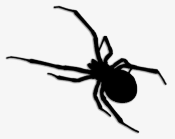 Wild Insects Png Transparent Images - Black Widow Brown Recluse Spider, Png Download, Transparent PNG