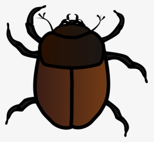 Insects Clipart Desert Insect - June Bug Clip Art, HD Png Download, Transparent PNG