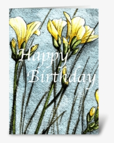 Field Flowers Greeting Card - Snow Crocus, HD Png Download, Transparent PNG