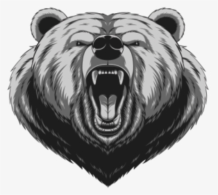 American Black Bear Drawing - Angry Drawing Grizzly Bear, HD Png Download, Transparent PNG
