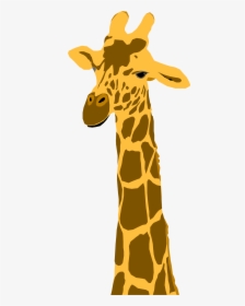Giraffe Clipart Transparent Background - Transparent Background Giraffe Clipart, HD Png Download, Transparent PNG