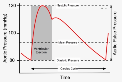 Aortic Pulse Pressure - Arterial Blood Pressure Curve, HD Png Download, Transparent PNG
