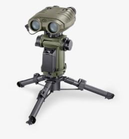 Sterna Safran, HD Png Download, Transparent PNG