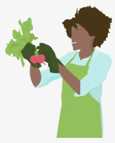 Woman Vegetable Gardening - Strawberries, HD Png Download, Transparent PNG