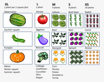 Square Foot Gardening Planting Guide, HD Png Download, Transparent PNG