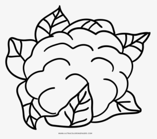 Cauliflower Drawing Coloring - Cauliflower Line Art, HD Png Download, Transparent PNG