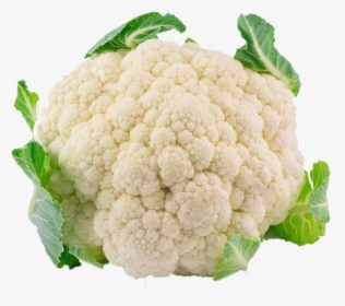 White Cauliflower Png Background - Phul Gobhi, Transparent Png, Transparent PNG