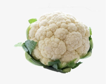 White Cauliflower Png Free Background - Cauliflower Is Just Cabbage With A College Education, Transparent Png, Transparent PNG