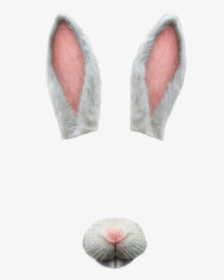 #rabbit #rabbitears #ears #nose #animal #teeth #cute - Png Rabbit Ears Nose, Transparent Png, Transparent PNG