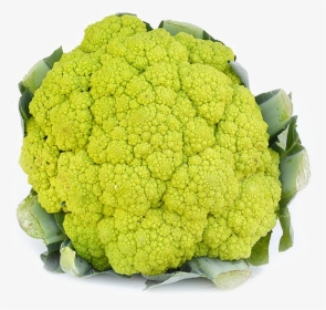 Cauliflower Png Image Transparent - Variety Of Cauliflower, Png Download, Transparent PNG