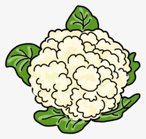 Vegetable Cauliflower Drawing, HD Png Download, Transparent PNG