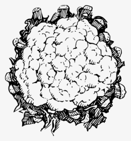 Cauliflower Clip Arts - Cauliflower Black And White, HD Png Download, Transparent PNG