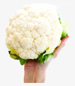 White Cauliflower Png Photo - Cauliflower, Transparent Png, Transparent PNG