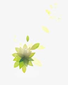 Dazzling Leaves Cartoon Transparent - Sacred Lotus, HD Png Download, Transparent PNG