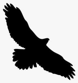 Wing Silhouette Png - Black And White Silhouette Eagle Clipart, Transparent Png, Transparent PNG