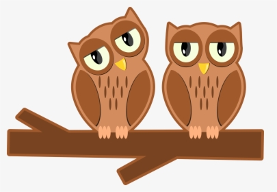 Owls On A Branch - Cartoon, HD Png Download, Transparent PNG