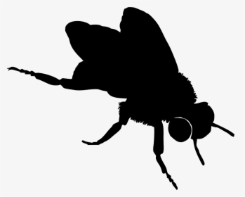Bumble Bee Drawing, HD Png Download, Transparent PNG