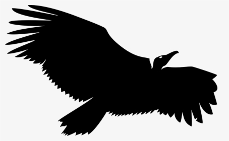 Vulture Silhouette Png Clipart , Png Download - Transparent Vulture Clip Art, Png Download, Transparent PNG