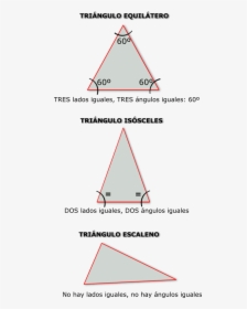 Triángulos Isósceles, Escaleno Y Equilátero - Triangulos Equilateros, HD Png Download, Transparent PNG
