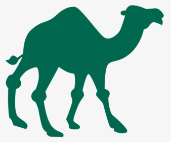 Transparent Camel Silhouette, HD Png Download, Transparent PNG