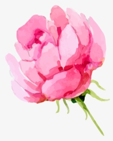 Watercolor Peonies Png - Watercolor Roses Png Transparent, Png Download, Transparent PNG