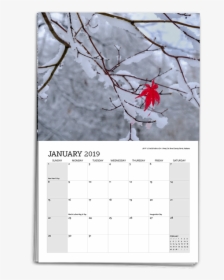 Calendar Template 2019 - Maple, HD Png Download, Transparent PNG