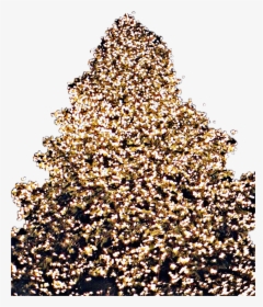 #christmas #tree #lights #christmastree #freetoedit - Christmas Tree, HD Png Download, Transparent PNG