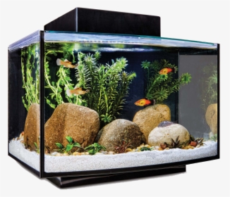 Aquarium Fish Tank Png File - Imagitarium Platform Freshwater Aquarium Kit 6.6 Gal, Transparent Png, Transparent PNG