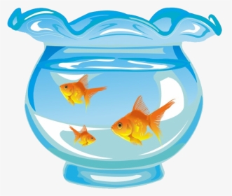 Aquarium Fish Tank Cartoon - Fish In Tank Cartoon, HD Png Download, Transparent PNG