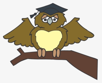 Gufo Laurea Png, Transparent Png, Transparent PNG