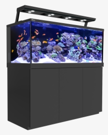 Transparent Fish Tank Png - Red Sea Reefer Deluxe 450, Png Download, Transparent PNG