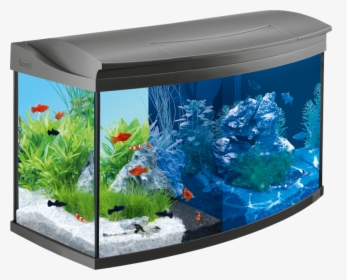 Aquarium Background Transparent - 100 Litre Tropical Fish Tank, HD Png Download, Transparent PNG