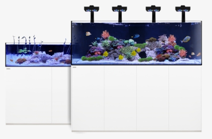 Transparent Aquarium Clipart - Waterbox Aquariums, HD Png Download, Transparent PNG