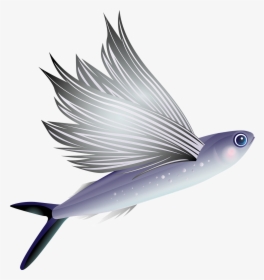 Flying Fish Png, Transparent Png, Transparent PNG