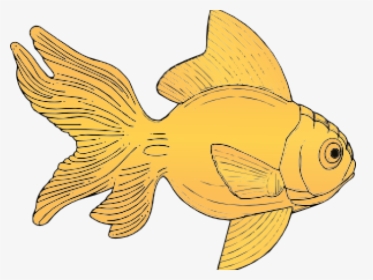 Transparent Dr Seuss Fish Clipart - Gold Fish Clip Art, HD Png Download, Transparent PNG