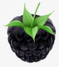 Blackberry Png Clip Art Image - Blackberry Clipart Png, Transparent Png, Transparent PNG