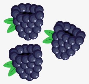 Berry Vector Blackberry - Blackberry Clipart, HD Png Download, Transparent PNG