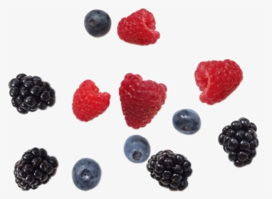 #berries #blueberries #raspberries #blackberries #freshfruits - Blackberry, HD Png Download, Transparent PNG