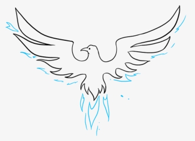 How To Draw Phoenix - Bird Easy Drawing, HD Png Download, Transparent PNG