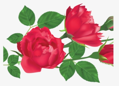 Red Rose Clipart Leaf Png - Transparent Png Rose Leaf Png, Png Download, Transparent PNG