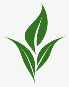 Thumb Image - Logo Tea Leaves Png, Transparent Png, Transparent PNG