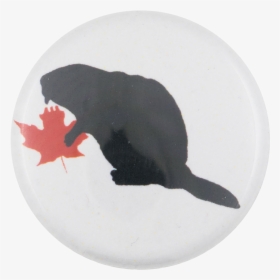 Beaver With Red Leaf Beavers Button Museum - Garibaldi (fish), HD Png Download, Transparent PNG