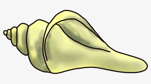 Cartoon Sea Snail Clip Art - Cartoon Conch, HD Png Download, Transparent PNG