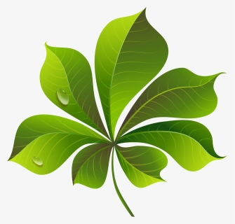 Leaves Clipart Png - Leaf Clip Art Png, Transparent Png, Transparent PNG