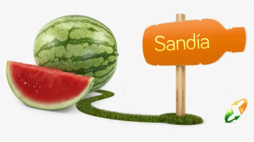 Watermelon, HD Png Download, Transparent PNG