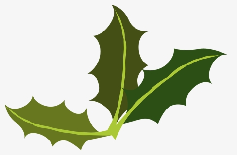 Yaupon Leaf Miner Common - Transparent Holiday Clip Art, HD Png Download, Transparent PNG